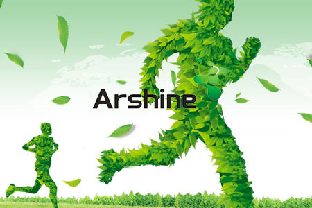 湖南艾臣--善微科技【網站建設案例】